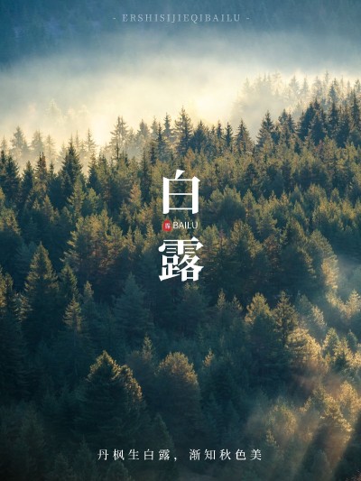 节气白露晒风景简约风plog模板