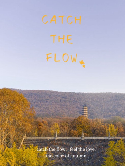 秋天风景晒照plog预览效果