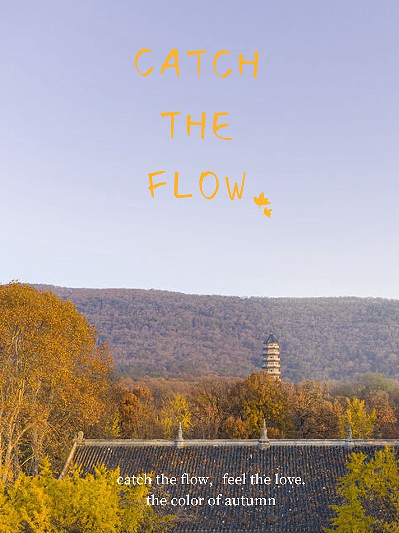 秋天风景晒照plog