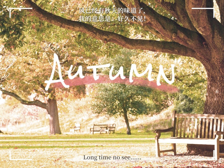 秋天风景晒照plog预览效果