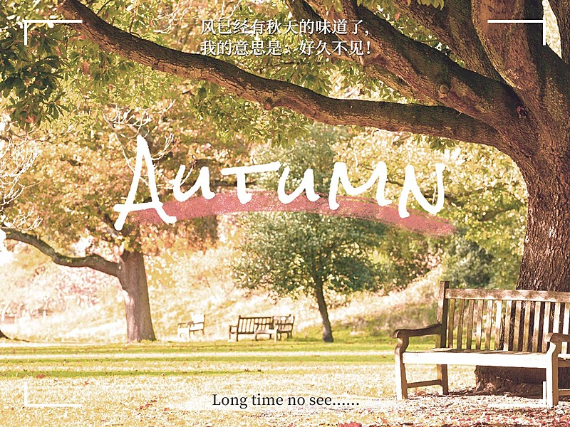 秋天风景晒照plog