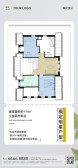 模板缩略图