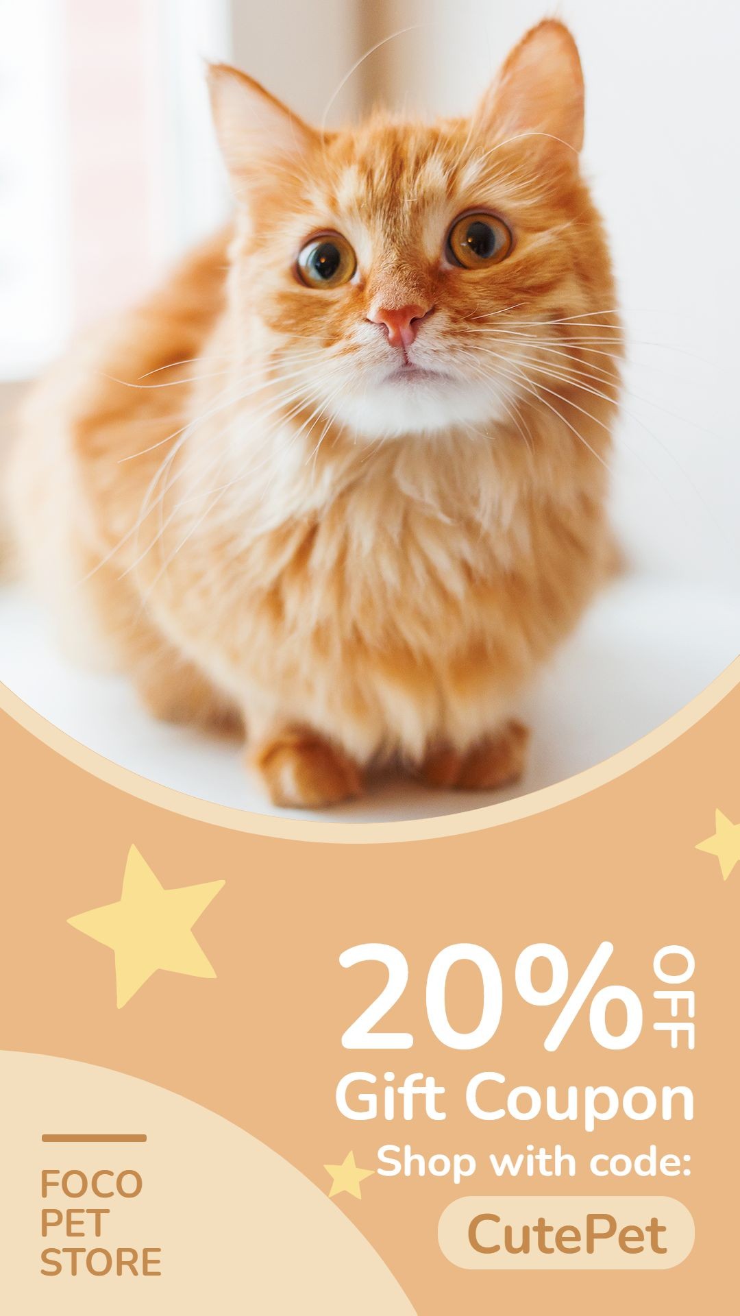 Star Element Simple Style Pet Product Supplies Sale Promo Ecommerce Story预览效果