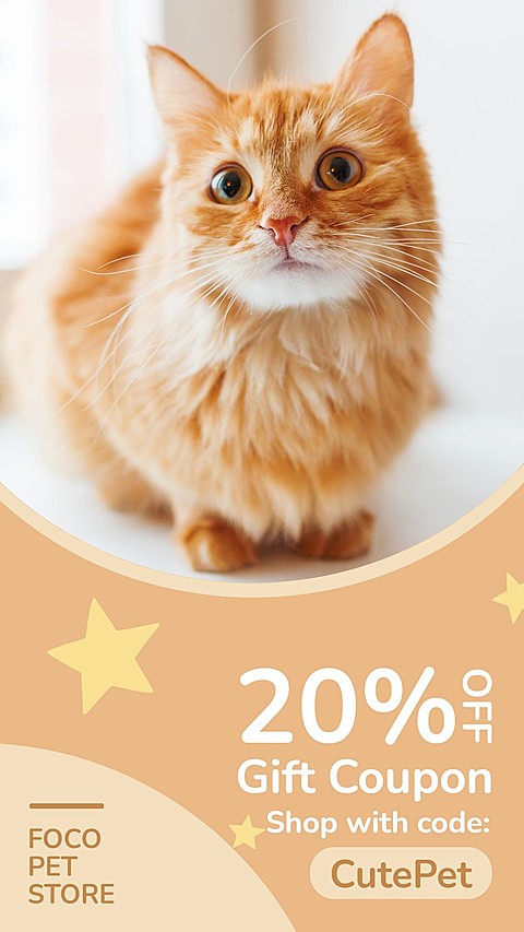Star Element Simple Style Pet Product Supplies Sale Promo Ecommerce Story