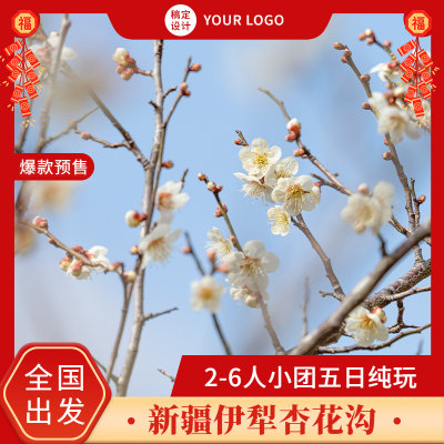 旅游出行报团营销喜庆商务主图