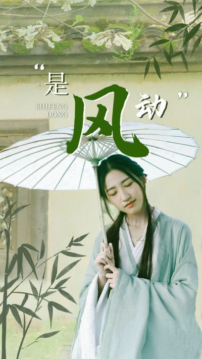 古风明星应援混剪饭制竖版视频封面