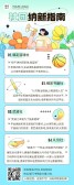 模板缩略图