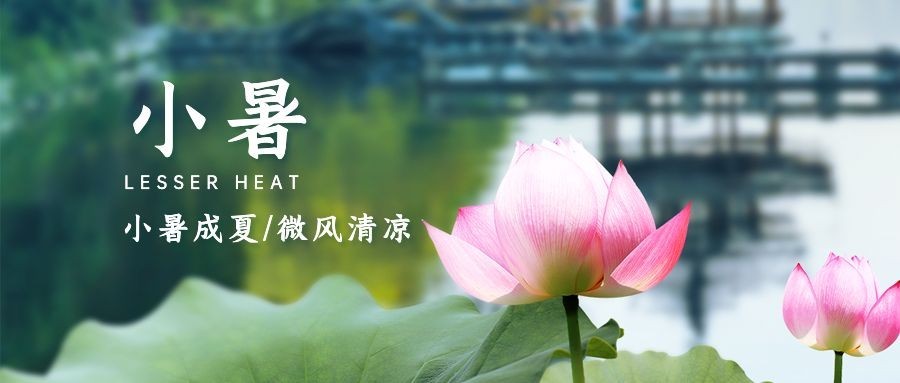 小暑节气祝福夏天莲花公众号首图预览效果