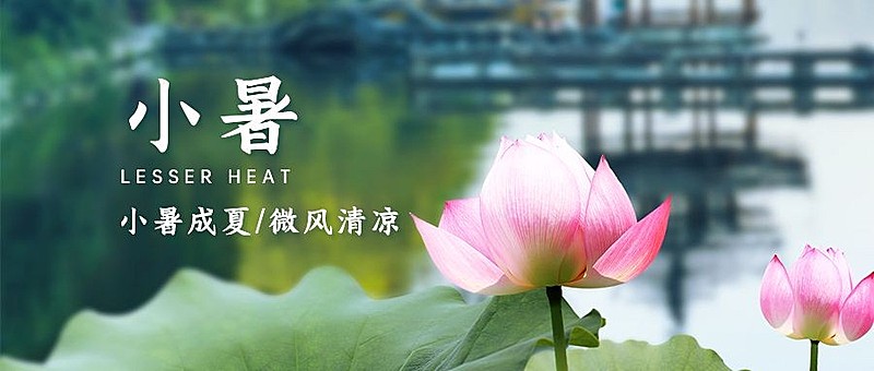 小暑节气祝福夏天莲花公众号首图