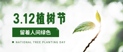 植树节实景树苗种树公众号首图