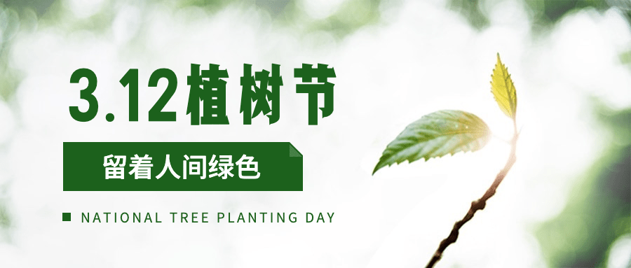 植树节实景树苗种树公众号首图