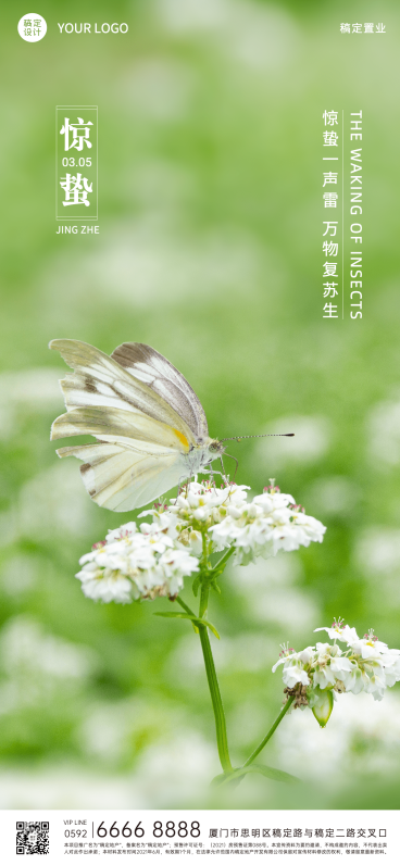房地产惊蛰节气销售中介祝福全屏竖版海报预览效果