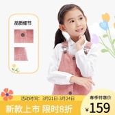模板缩略图