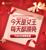 模板缩略图