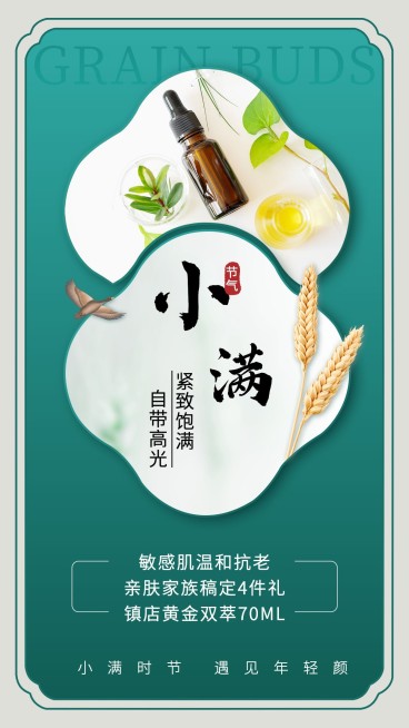 中国风小满节气线下门店活动促销预览效果