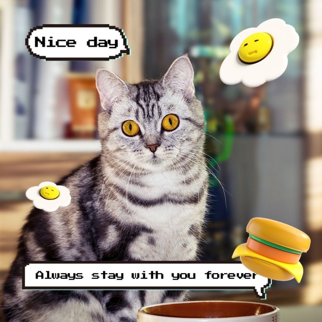 宠物萌宠晒照可爱风plog模板预览效果