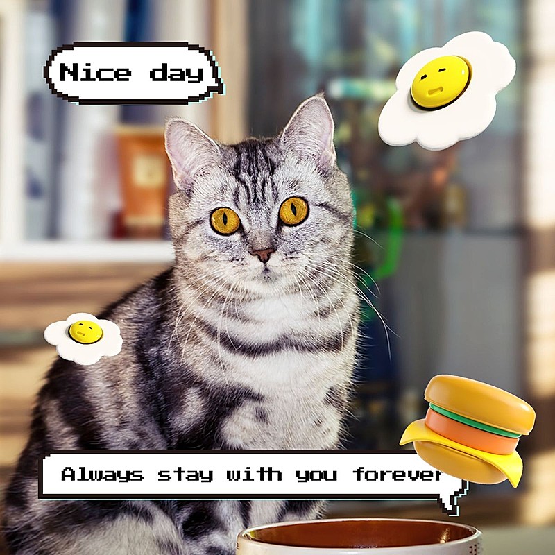 宠物萌宠晒照可爱风plog模板