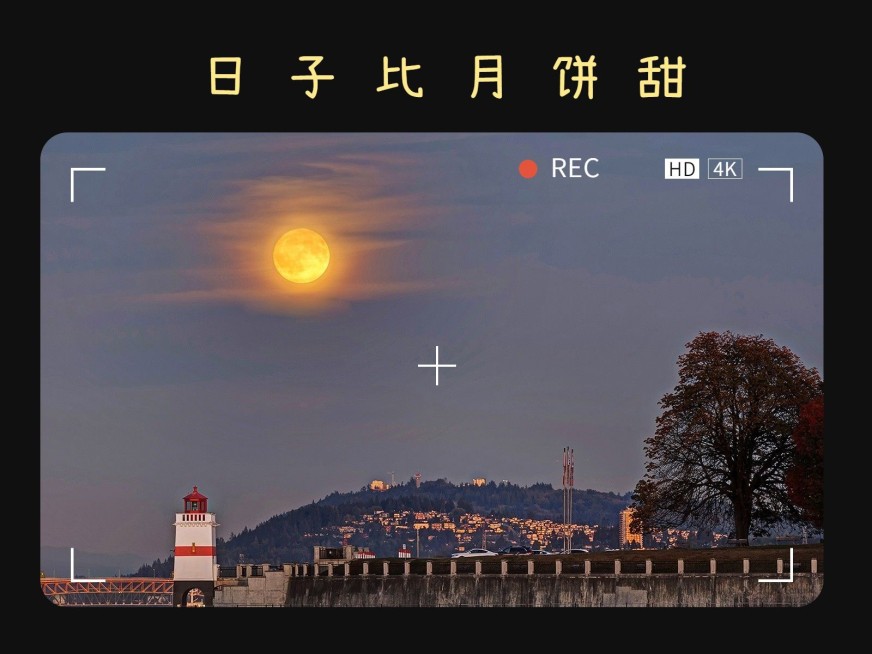 中秋节风景晒照界面风plog模板预览效果