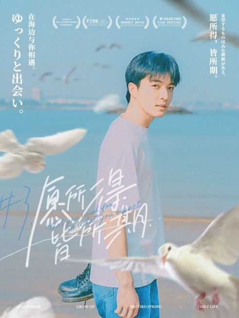 通用白色情人节晒照文艺风plog模板预览效果