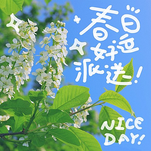 春天风景大字生活分享plog模板