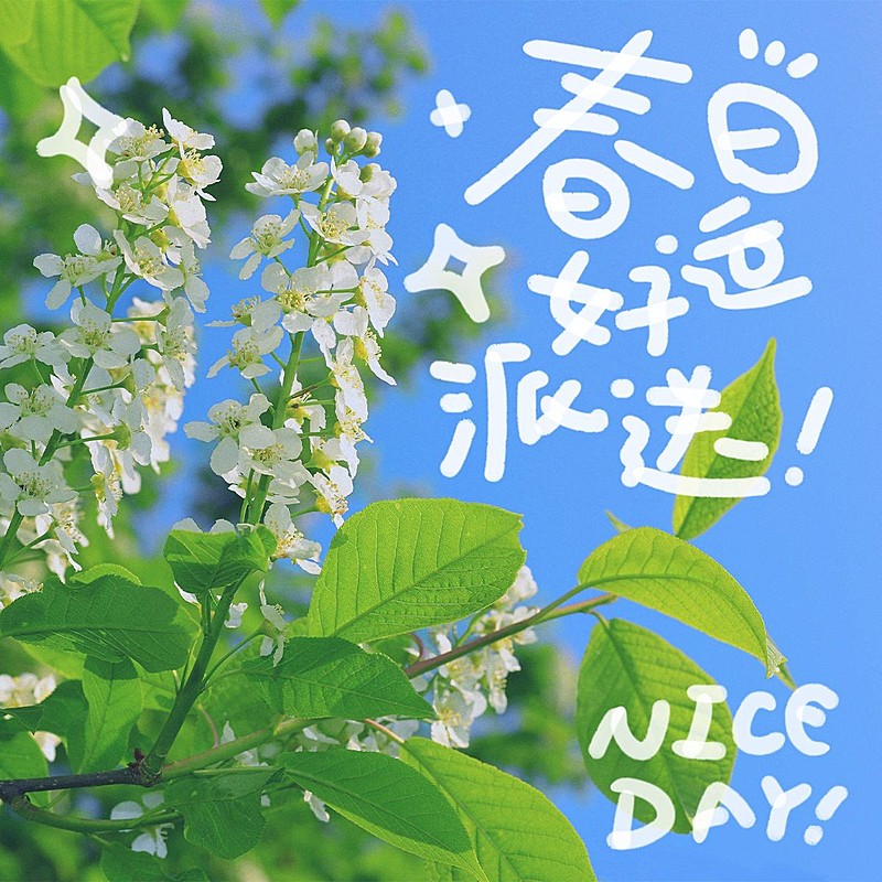 春天风景大字生活分享plog模板