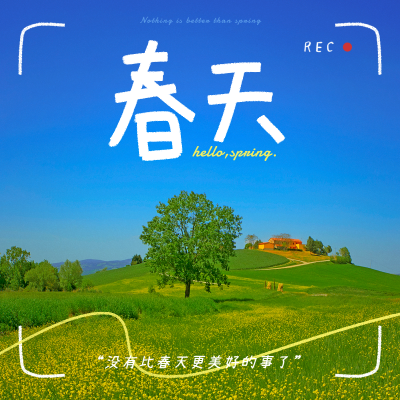 春天风景踏青郊游相机模拟清新风plog模板