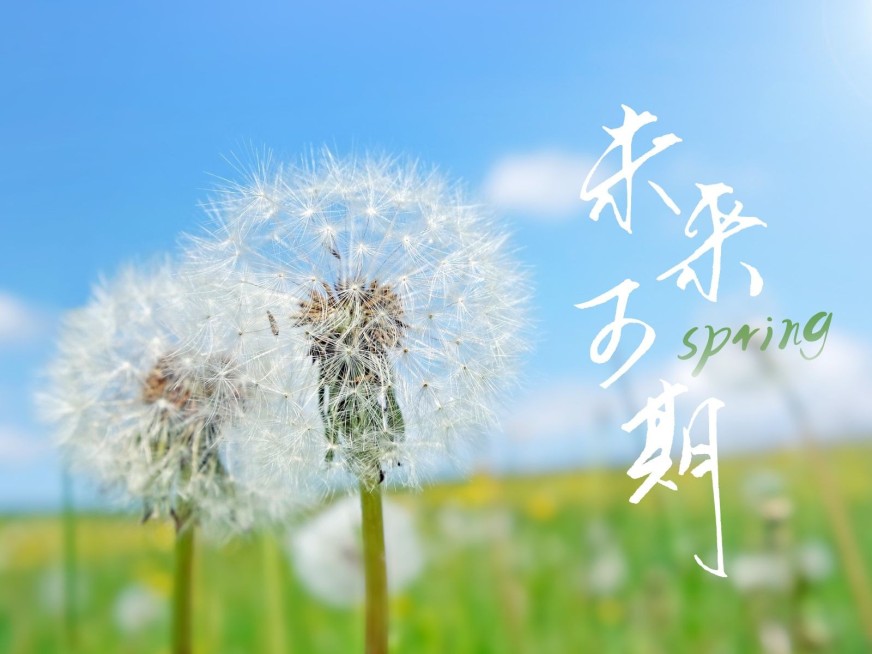 天空/云朵风景照文艺风plog模板预览效果