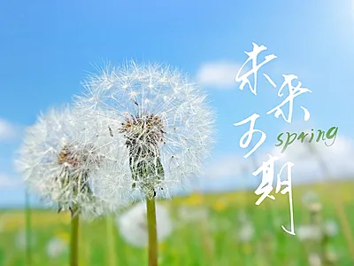天空/云朵风景照文艺风plog模板