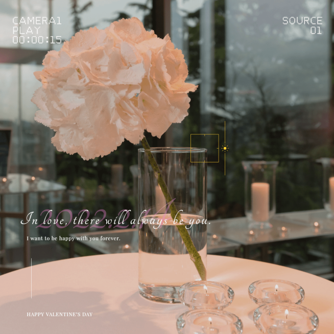 情人节浪漫晒花plog模板预览效果