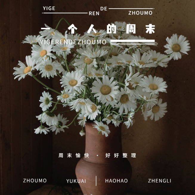 周末晒好物生活分享时尚风plog模板预览效果