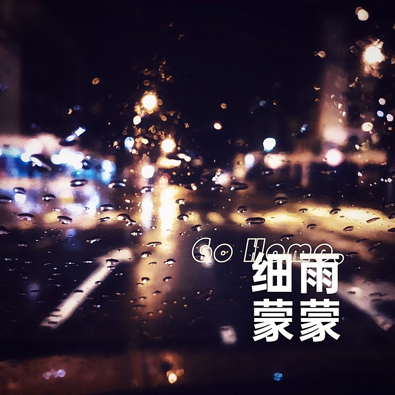 春节晒图春节祝福新年祝福春运过年一路平安plog模板