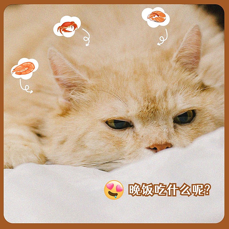 萌宠晒照日常通用可爱风plog模板