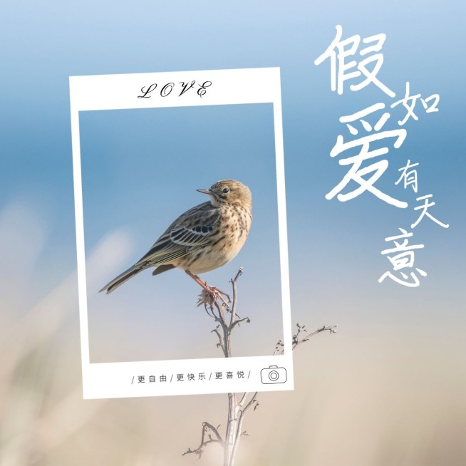 风景山水旅游记录界面风plog模板预览效果