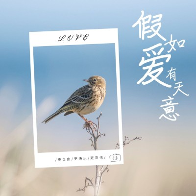 风景山水旅游记录界面风plog模板