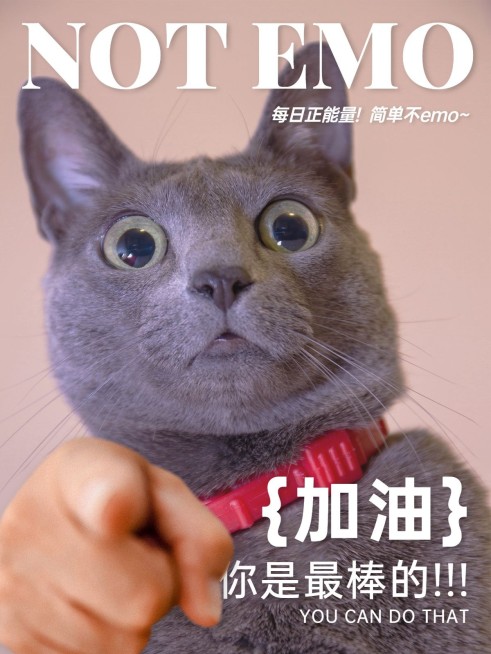 手势表情包萌宠晒照时尚风plog模板预览效果