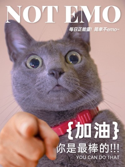 手势表情包萌宠晒照时尚风plog模板
