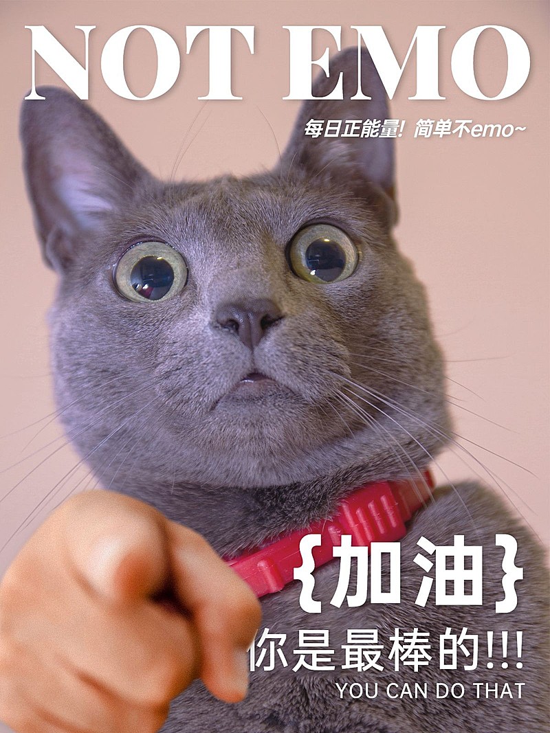 手势表情包萌宠晒照时尚风plog模板