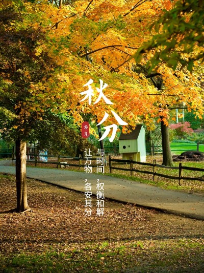 秋天节气秋分简约风plog模板