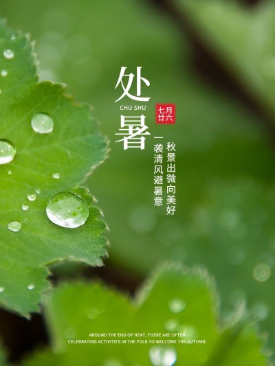 秋日节气处暑风景晒照简约风plog模板