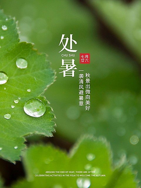 秋日节气处暑风景晒照简约风plog模板
