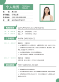 模板缩略图