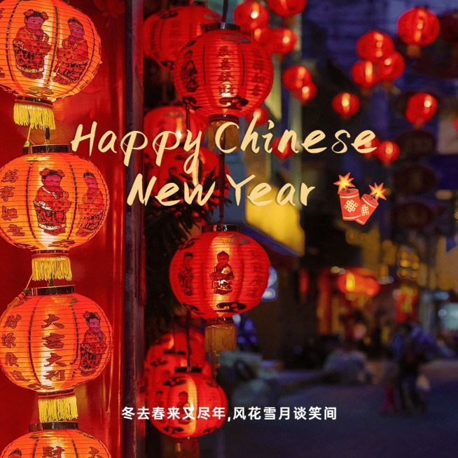 春节新春新年晒图晒照PLOG模板预览效果