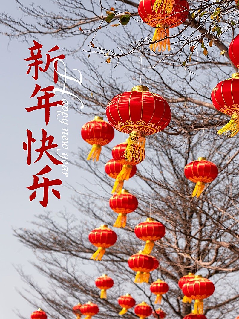 春节新春新年晒图晒照PLOG模板