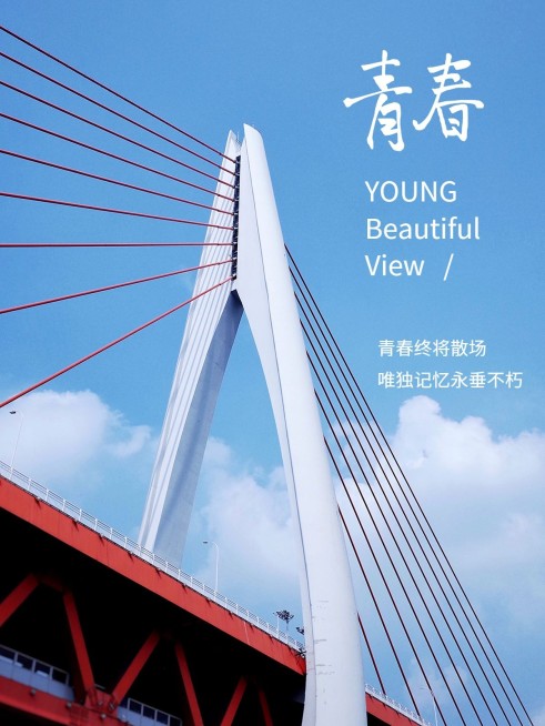 摄影排版城市风光简约风plog模板预览效果