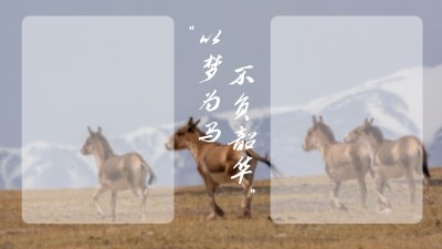 唯美实景电脑桌面分区壁纸