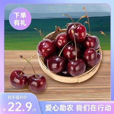 电商食品水果直通车主图