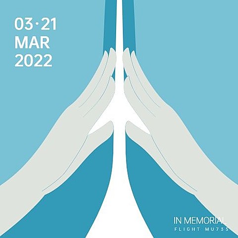 沉痛哀悼空难事件公众号次图