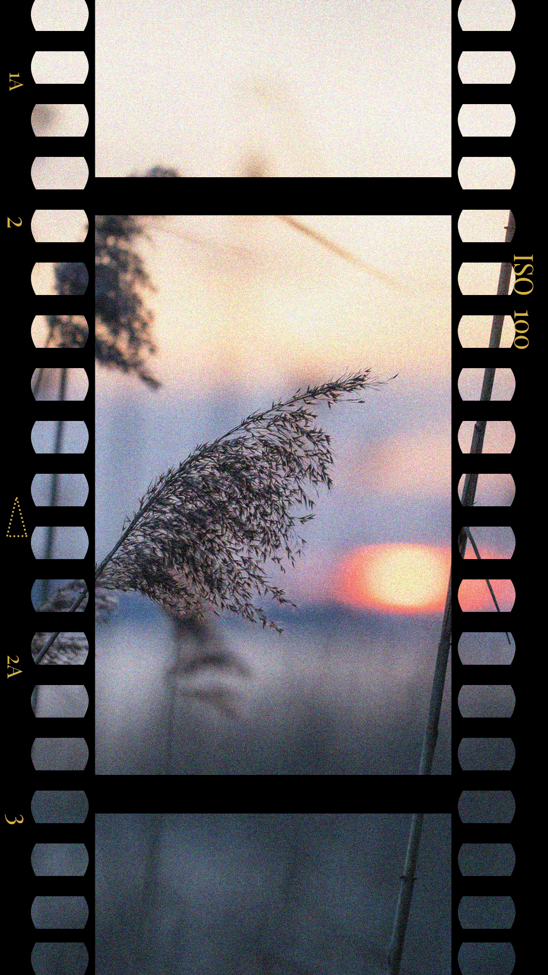 Literary Style Natural Scene Record Camera interface simulation Instagram story