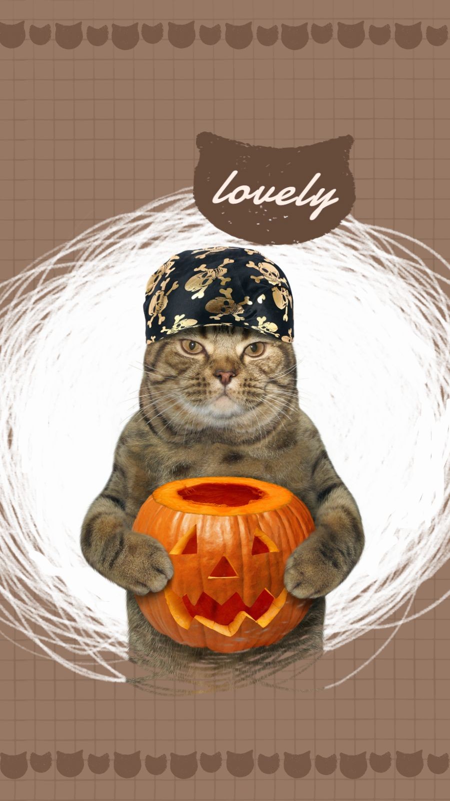 Literary Lovely Cat Display Instagram Story预览效果