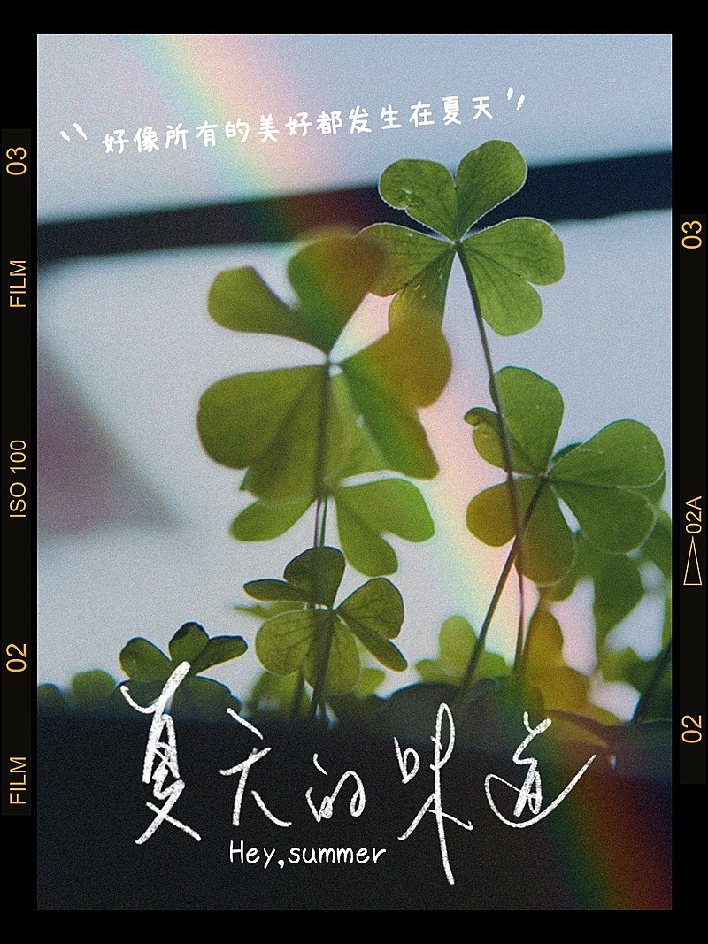 夏天风景晒照胶片风plog模板